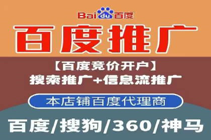 案例解读：网络推广与竞价策略